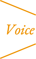 Voice